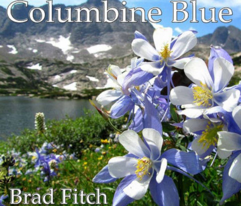 Columbine Blue